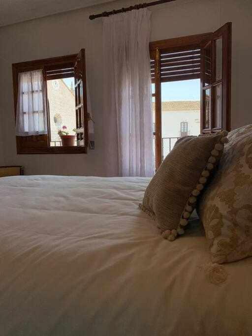 El Balcon De La Rosa Apartment La Puebla de Montalbán Екстериор снимка